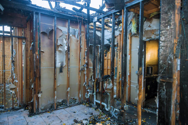 Professional Structural Rebuild technician working in Florence, TX